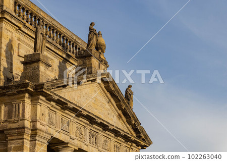 Daytime view of the historical Guadalajara Cathedral 102263040