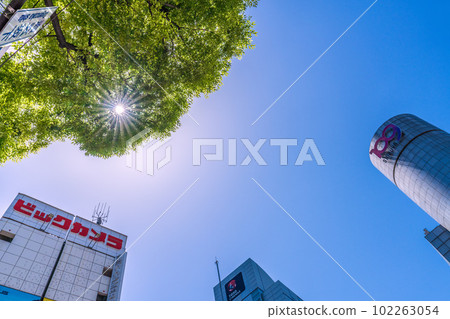 5 月在日本的東京城市景觀。澀谷109等閃耀著清新的綠色和耀眼的陽光...紫外線-小心中暑=2天 102263054