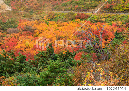Fukushima_Bandai Azuma 天際線與紅葉 102263924