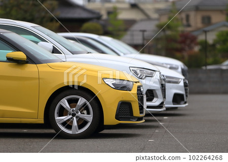 Rows of sedans image 102264268