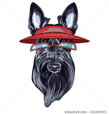 vector dog Scottish Terrier breed in visor vector dog Scottish Terrier breed in visor 102264455