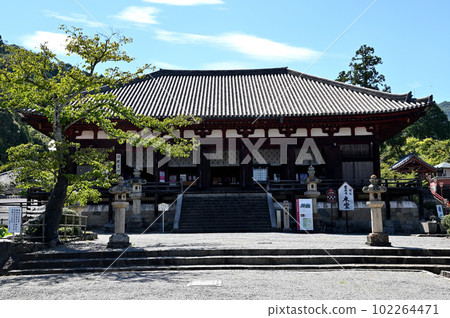 當瑪德拉曼荼羅的夏日風景 當瑪德拉曼荼羅的夏日風景 102264471