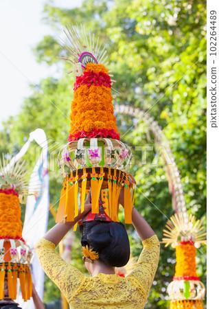 Procession of beautiful Balinese women in traditional costumes Procession of beautiful Balinese women in traditional costumes 102264489