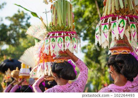 Procession of beautiful Balinese women in traditional costumes Procession of beautiful Balinese women in traditional costumes 102264493