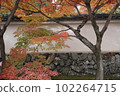 Japanese autumn leaves 102264715