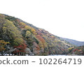 autumn leaves arashiyama in kyoto 102264719