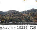 autumn leaves arashiyama in kyoto 102264720