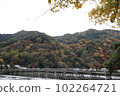 autumn kyoto sightseeing autumn leaves arashiyama 102264721