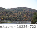 Autumn leaves Kyoto Arashiyama and Togetsukyo 102264722