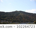 autumn kyoto autumn leaves arashiyama togetsukyo bridge 102264723
