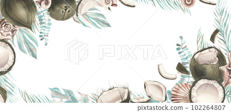 Whole coconuts and slices with tropical palm leaves and seashells. Watercolor illustration. Template on a white background from the collection of COCONUTS. For the dcoration and design. Whole coconuts and slices with tropical palm leaves and seashells. Watercolor illustration. Template on a white background from the collection of COCONUTS. For the dcoration and design. 102264807