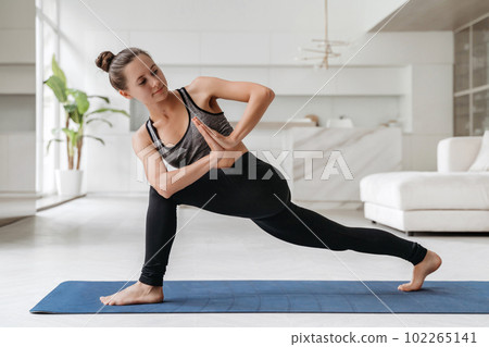 Beautiful woman training at home on exercise mat 102265141