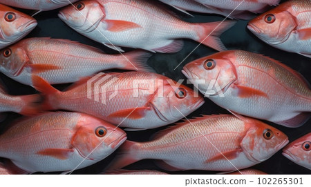 Fresh Organic Snapper Fish Photorealistic Horizontal Background. Healthy Seafood Diet. Ai Generated Hyperrealistic Background with Delicious Gourmet Snapper Fish. Fresh Organic Snapper Fish Photorealistic Horizontal Background. Healthy Seafood Diet. Ai Generated Hyperrealistic Background with Delicious Gourmet Snapper Fish. 102265301