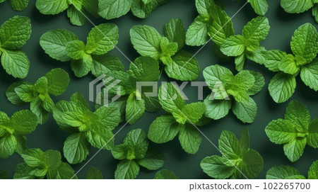 Aromatic Mint Herbs Photorealistic Horizontal Background. Healthy Vegetarian Diet. Ai Generated Hyperrealistic Background with Delicious Aromatic Mint Herbs. 102265700