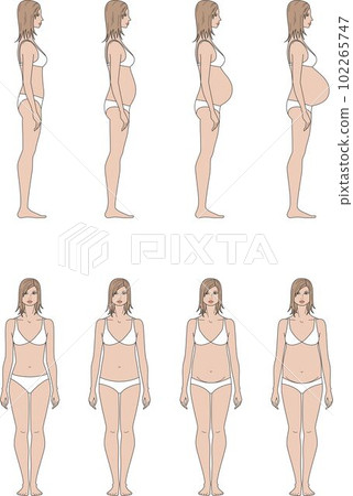 Pregnant female figure template. Front and side. Pregnant female figure template. Front and side. 102265747