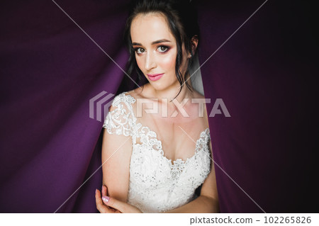 Luxury bride in white dress posing while preparing for the wedding ceremony 102265826