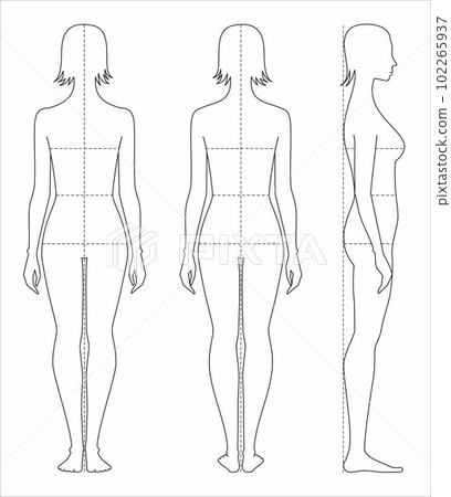 Female figure template. Fashion croquis. Female figure template. Fashion croquis. 102265937