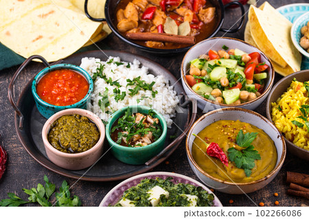 Assorted of traditional Indian food. 102266086