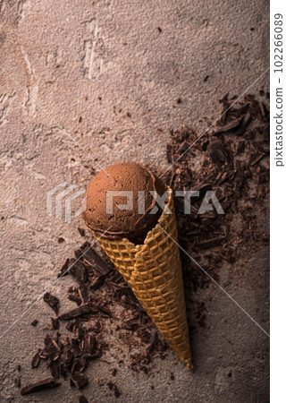 Sweet homemade chocolate ice cream Sweet homemade chocolate ice cream 102266089