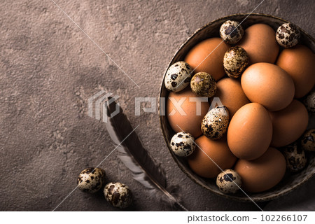 Chicken and quail eggs on brown background 102266107