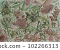 Oak leaves, fern, flower, pine needles. Fallen plants on the ground. Autumn mood. Watercolor illustration  102266313