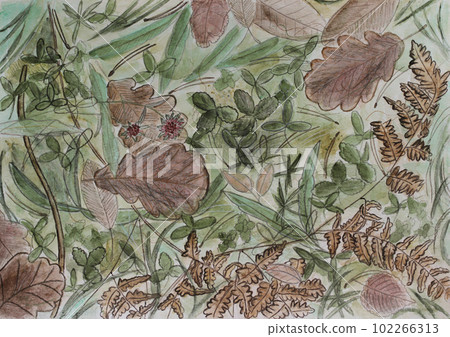 Oak leaves, fern, flower, pine needles. Fallen plants on the ground. Autumn mood. Watercolor illustration Oak leaves, fern, flower, pine needles. Fallen plants on the ground. Autumn mood. Watercolor illustration 102266313