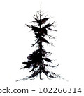 Ink. Black spot in the form of a spruce (fir). Abstract natural image  102266314