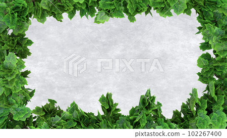 ivy leaves frame border green vegetation on concrete background with foliage 3D illustration ivy leaves frame border green vegetation on concrete background with foliage 3D illustration 102267400