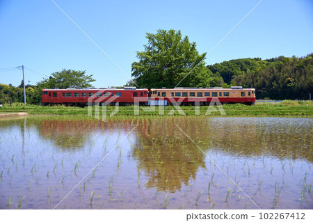 Rice fields after planting and Kiha 40 Kominato Railway Kazusakubo Station Rice fields after planting and Kiha 40 Kominato Railway Kazusakubo Station 102267412