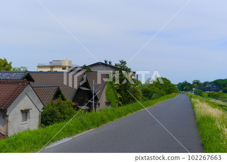 千葉縣流山市利根運河風光，2023 年 5 月 102267663