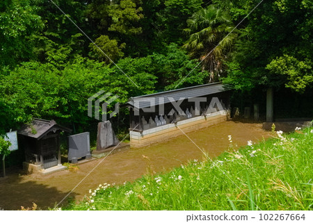 千葉縣流山市 Tone Canal Daishido 2023 年 5 月 102267664