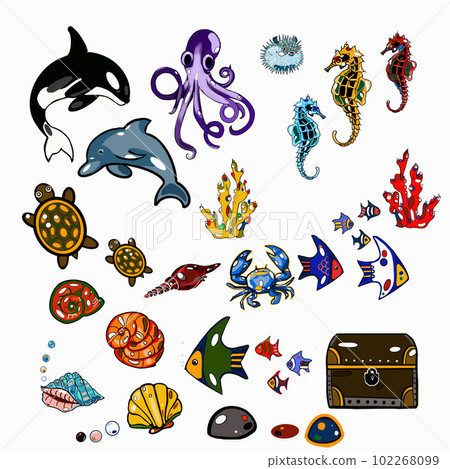 sea set, dolphin, whale, shark, fish, turtle, shell, pearl 102268099