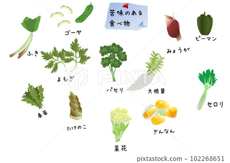 Bitter food illustration set Bitter food illustration set 102268651