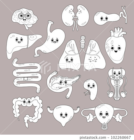 Collection human internal cute characters organs with faces. vector illustration. Anatomy concept. Isolated graphic outline drawings for design, decor, colorize. 102268667