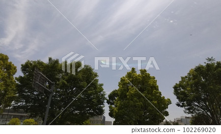 20230503_彩虹 20230503_彩虹 102269020