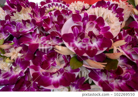 台灣 2023 台北龍山寺供品 102269550