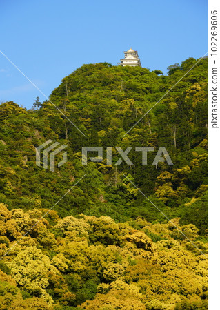 Kinkazan and Gifu Castle, where the trees are in bloom 102269606