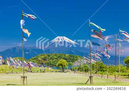Carp streamers swimming in the blue sky with Mount Fuji in the background Carp streamers swimming in the blue sky with Mount Fuji in the background 102269816