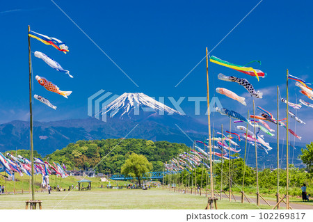 Carp streamers swimming in the blue sky with Mount Fuji in the background Carp streamers swimming in the blue sky with Mount Fuji in the background 102269817