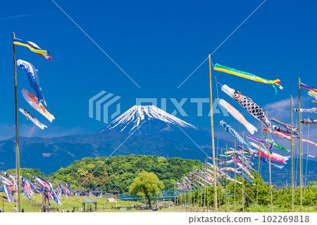 Carp streamers swimming in the blue sky with Mount Fuji in the background Carp streamers swimming in the blue sky with Mount Fuji in the background 102269818