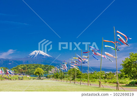 Carp streamers swimming in the blue sky with Mount Fuji in the background Carp streamers swimming in the blue sky with Mount Fuji in the background 102269819