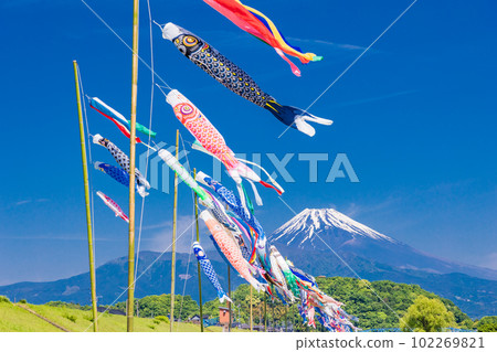 Carp streamers swimming in the blue sky with Mount Fuji in the background Carp streamers swimming in the blue sky with Mount Fuji in the background 102269821