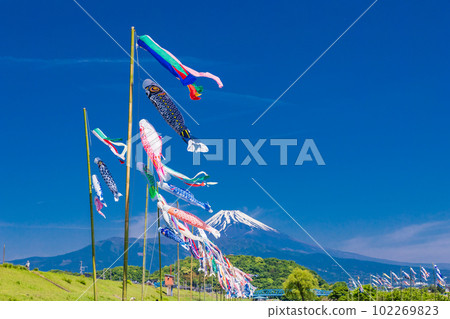 Carp streamers swimming in the blue sky with Mount Fuji in the background Carp streamers swimming in the blue sky with Mount Fuji in the background 102269823