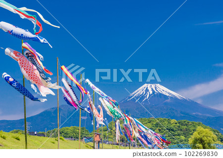 Carp streamers swimming in the blue sky with Mount Fuji in the background 102269830