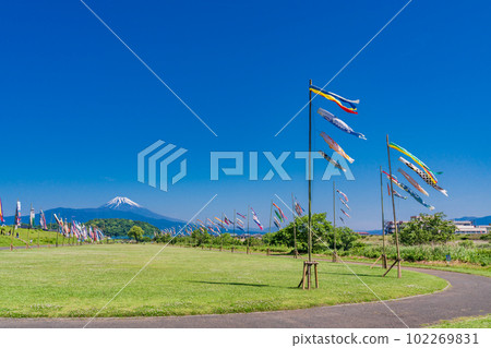 Carp streamers swimming in the blue sky with Mount Fuji in the background Carp streamers swimming in the blue sky with Mount Fuji in the background 102269831