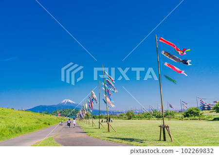Carp streamers swimming in the blue sky with Mount Fuji in the background Carp streamers swimming in the blue sky with Mount Fuji in the background 102269832