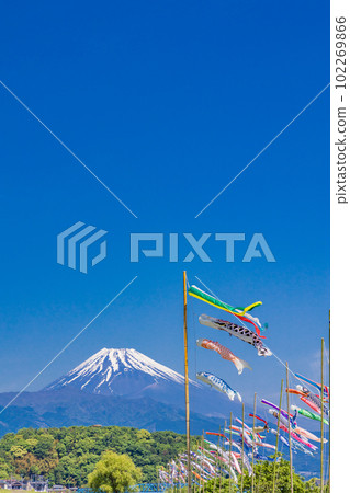 Carp streamers swimming in the blue sky with Mt. Fuji in the background Carp streamers swimming in the blue sky with Mt. Fuji in the background 102269866