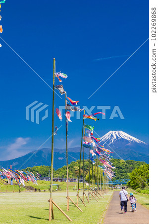 Carp streamers swimming in the blue sky with Mt. Fuji in the background 102269868