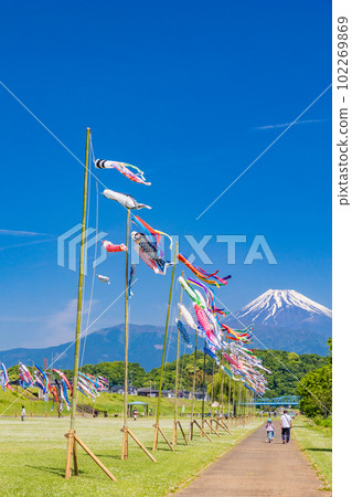 Carp streamers swimming in the blue sky with Mt. Fuji in the background Carp streamers swimming in the blue sky with Mt. Fuji in the background 102269869