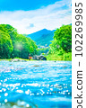 夏天的光芒。 102269985